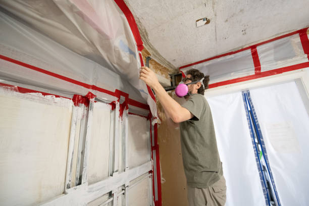 Best Biohazard Mold Removal  in Stevenson, AL