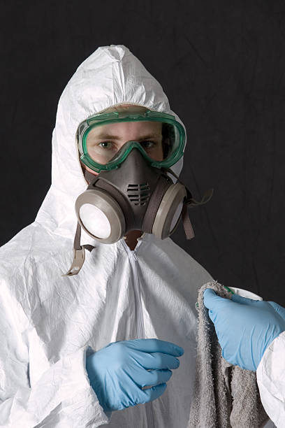 Best Post-Construction Mold Inspection  in Stevenson, AL